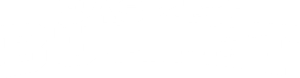 Basket Bullet